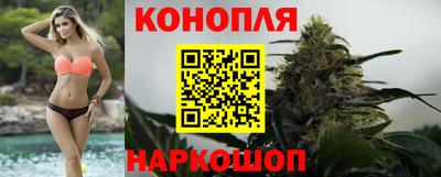 тгк Пушкино