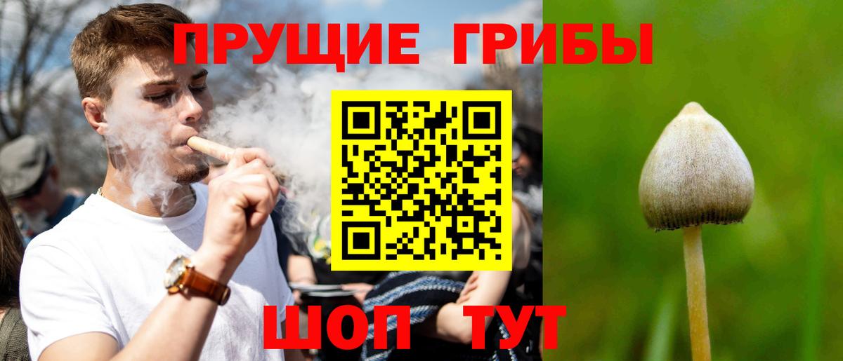 Псилоцибиновые грибы Magic Shrooms  Галлюциногенные грибы Psilocybe  Вход с VPN  Рязань 
